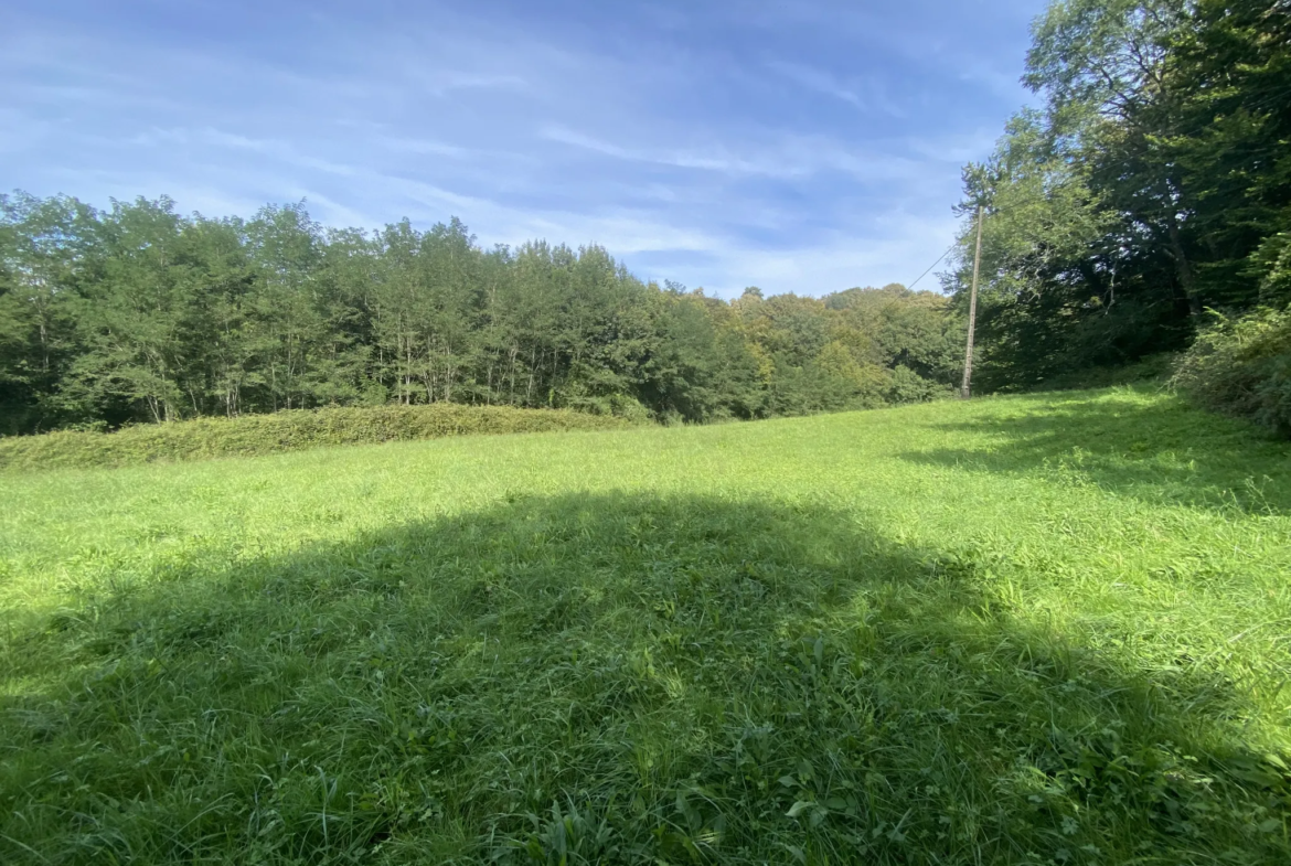 Terrain agricole à Lucq de Béarn 