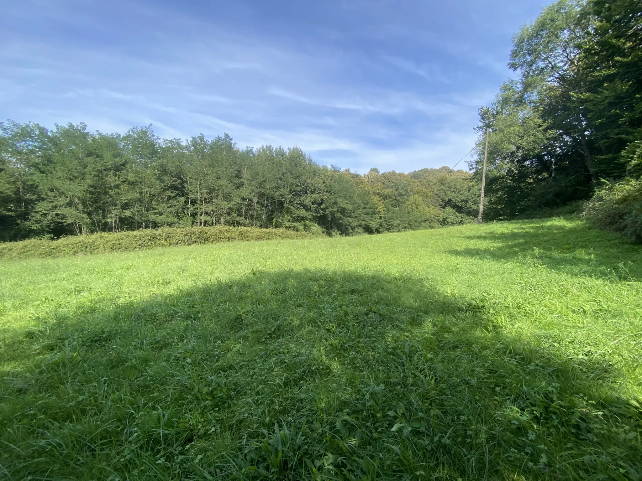 Terrain agricole à Lucq de Béarn 