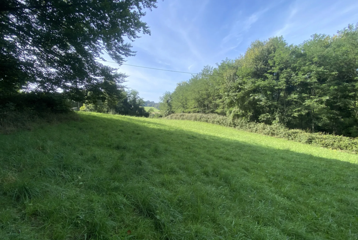 Terrain agricole à Lucq de Béarn 