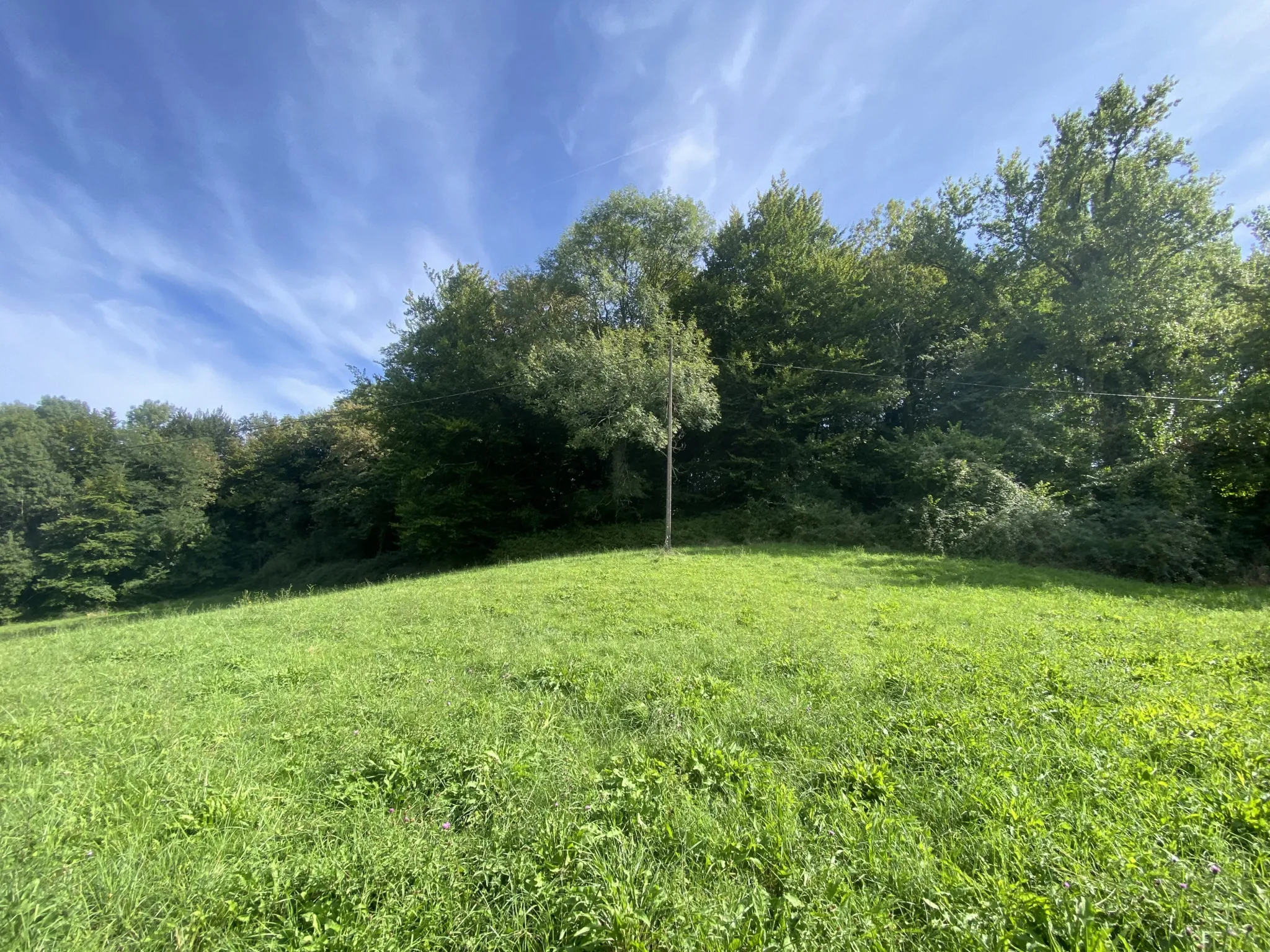 Terrain agricole à Lucq de Béarn 