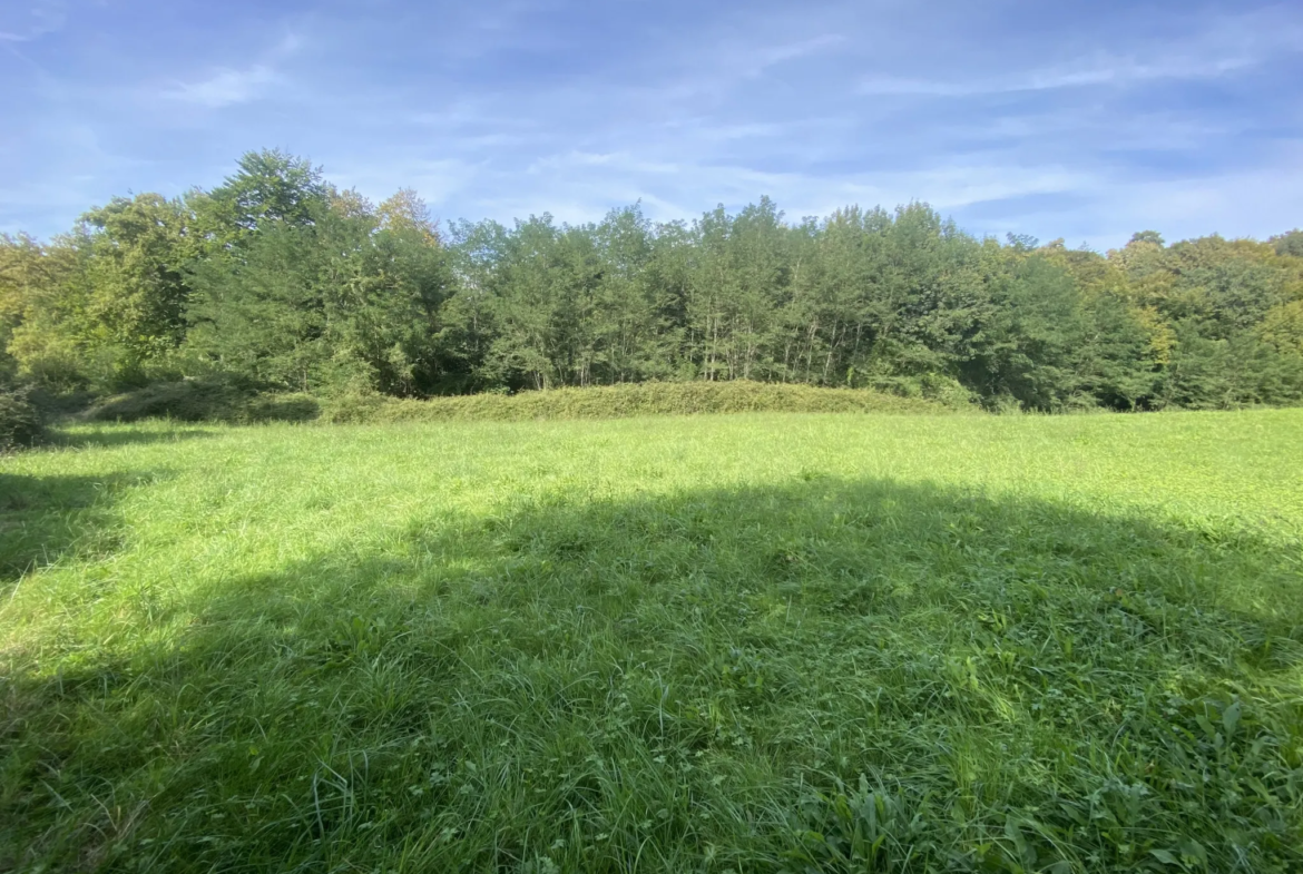 Terrain agricole à Lucq de Béarn 