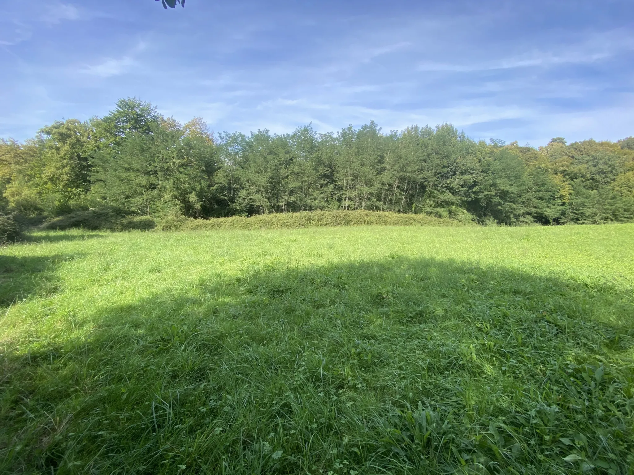 Terrain agricole à Lucq de Béarn 