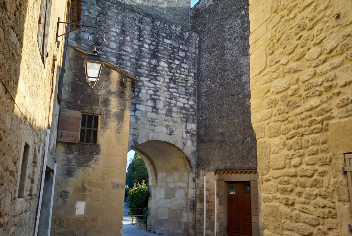 Vente Charmante Maison de pierres au calme entre Nîmes et Montpellier 