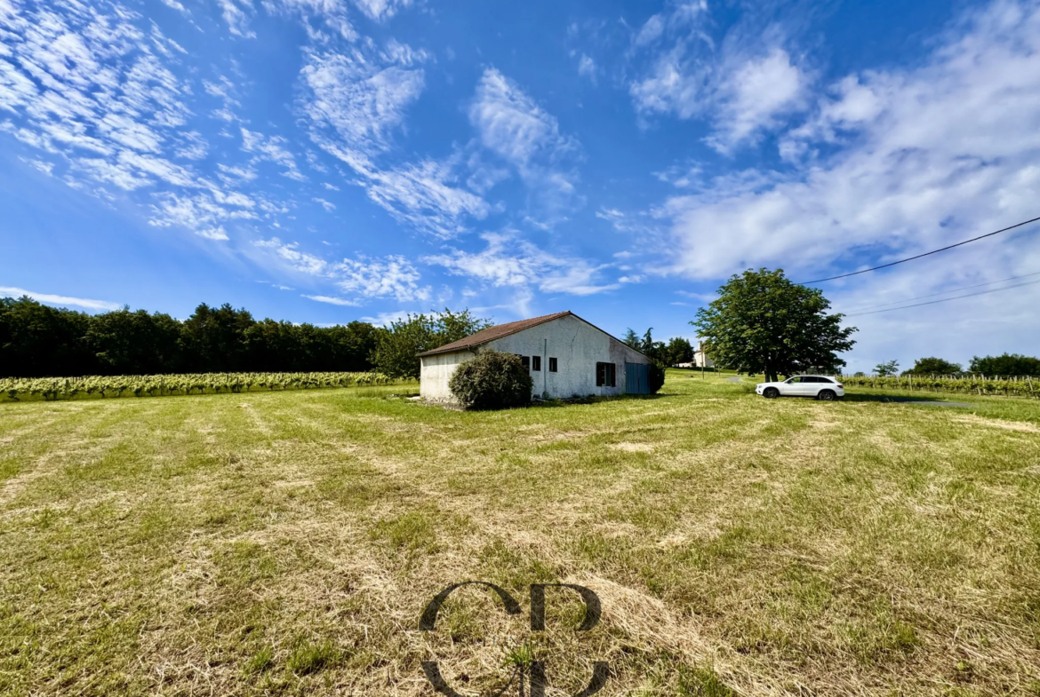 Maison de Caractère avec Vue sur Vignoble à Bergerac 