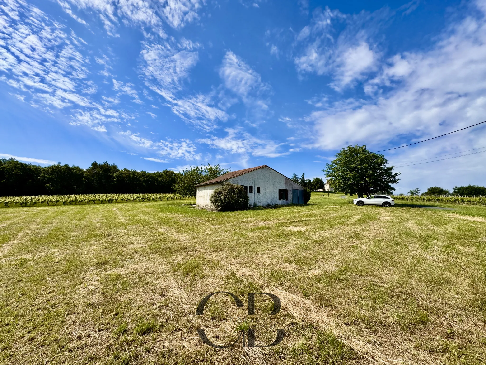 Maison de Caractère avec Vue sur Vignoble à Bergerac 