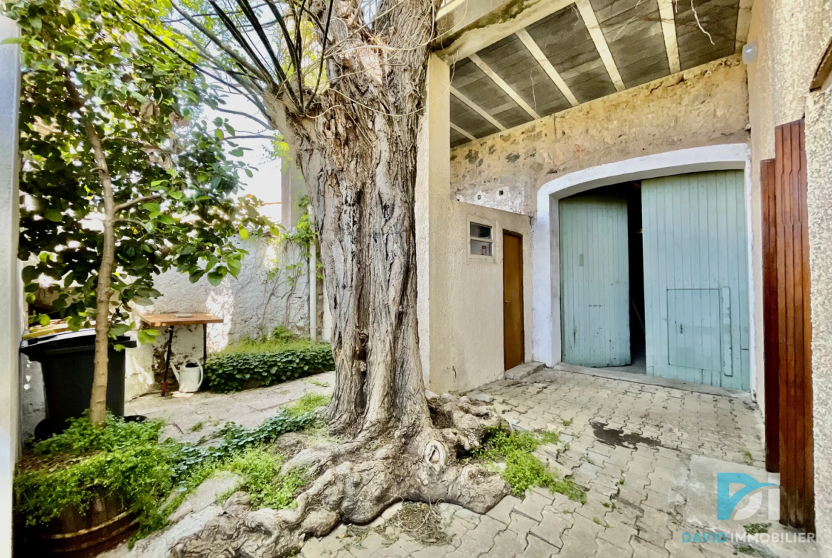 Maison Vigneronne T8 avec Terrasse, Garage et Dépendance à Pinet 