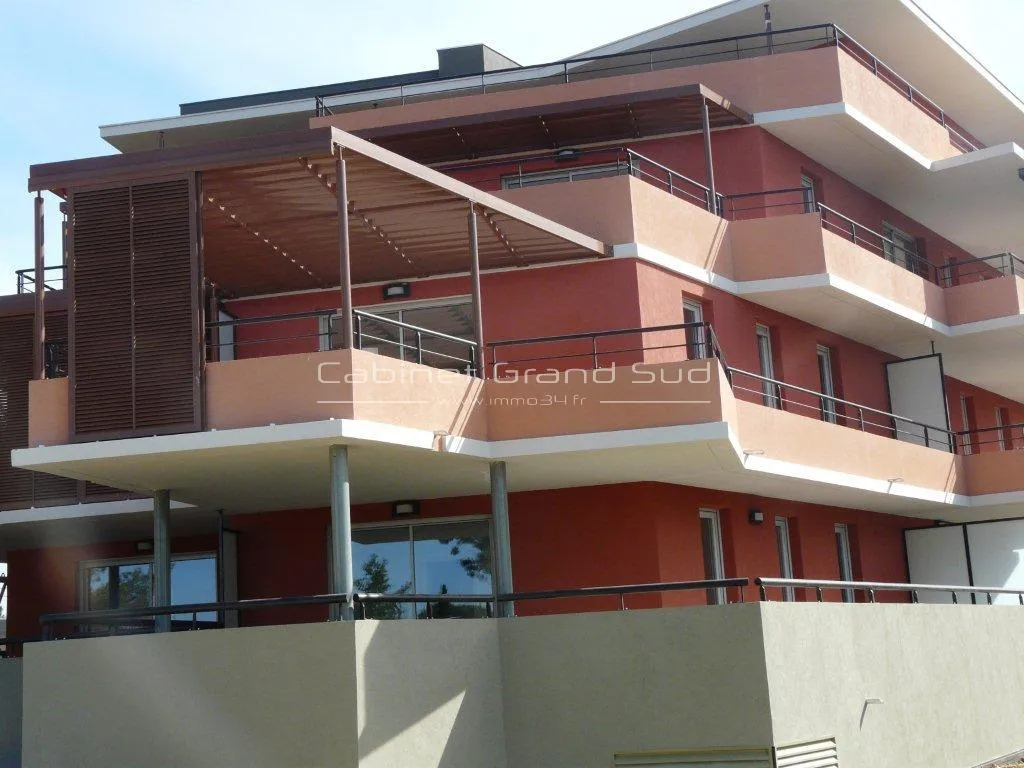 Investment Opportunity: Apartment with Terrace in Montpellier 