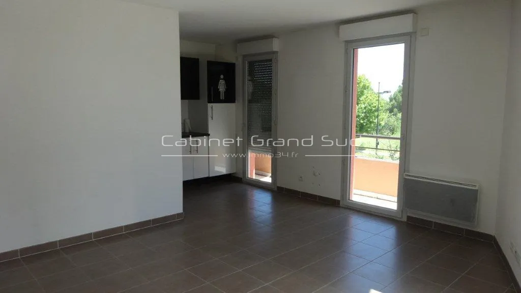 Investment Opportunity: Apartment with Terrace in Montpellier 