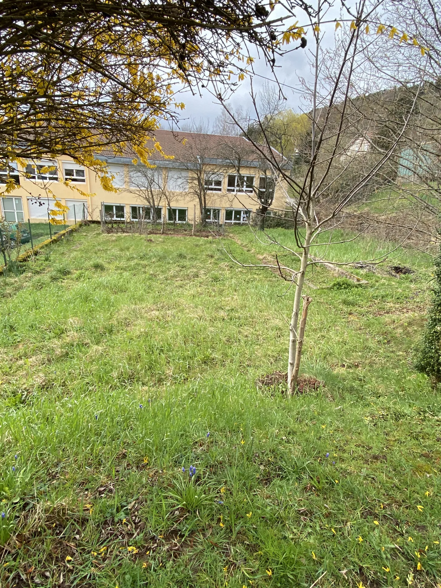 Maison de 167m2 sur les hauteurs de Saint Dié des Vosges 