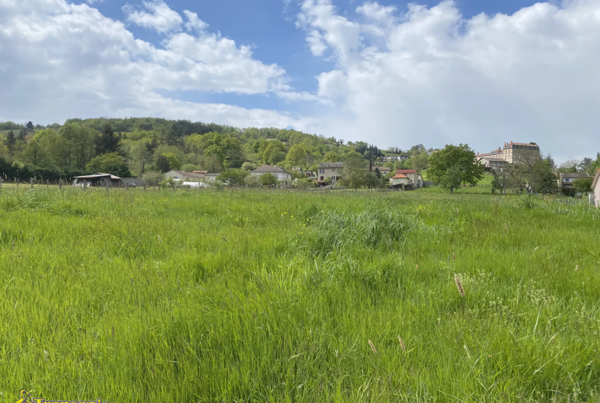 Terrain à vendre à Courpière (63) - 1500m2 dont 700m2 constructibles 