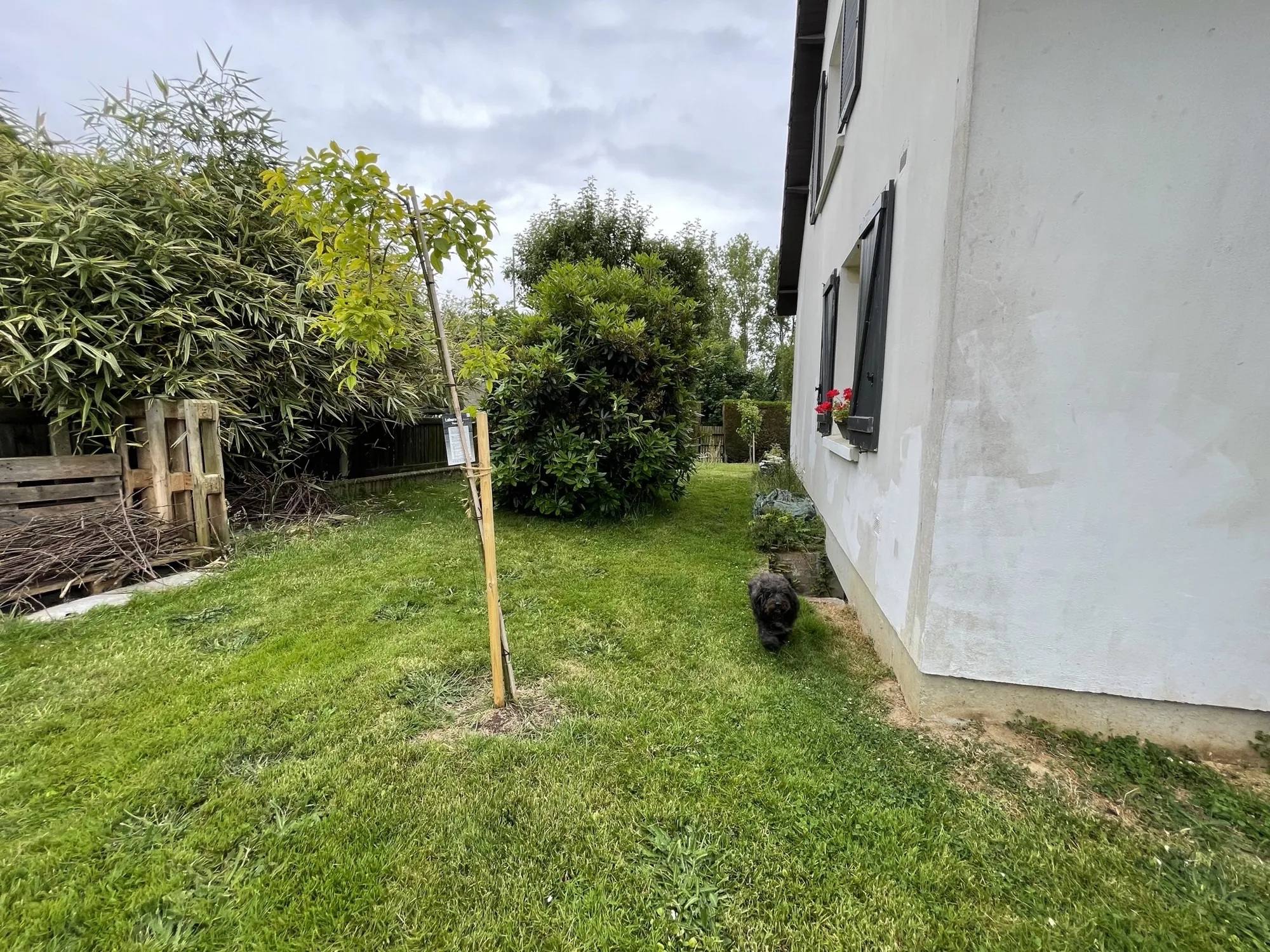 Maison indépendante à Fecamp avec 125 m2 et jardin 