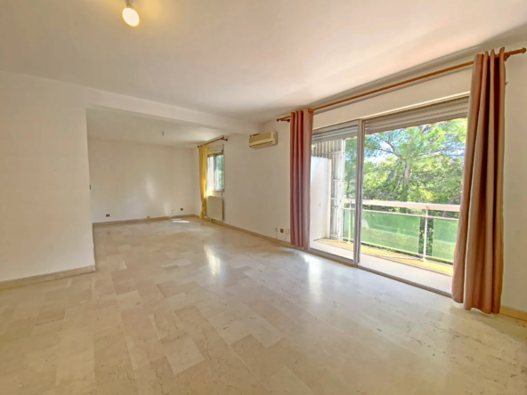 Appartement T3 + Studio - Avenue Père Soulas à Montpellier