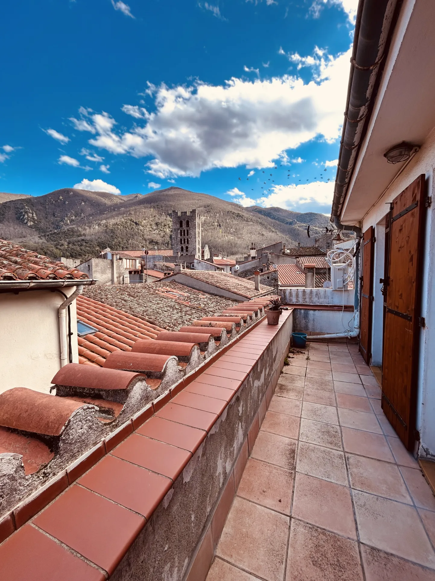 Charming Village Houses in Arles-sur-Tech 