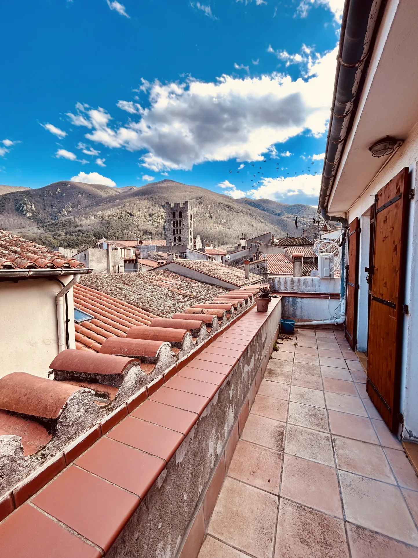 Charming Village Houses in Arles-sur-Tech 