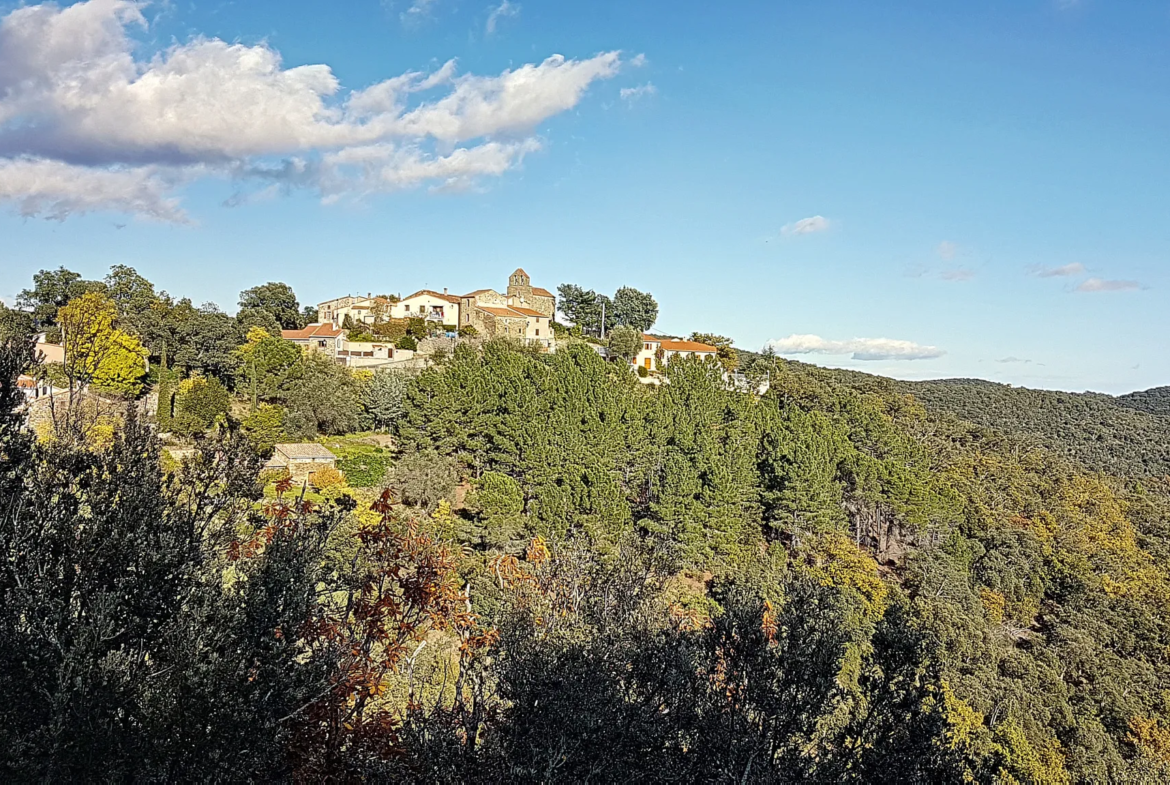 Terrain Constructible à Taillet avec Vue sur Céret 