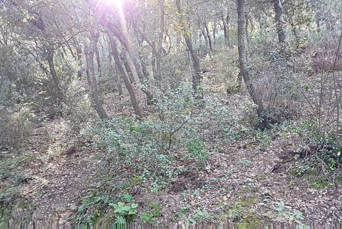 Terrain Constructible à Taillet avec Vue sur Céret 