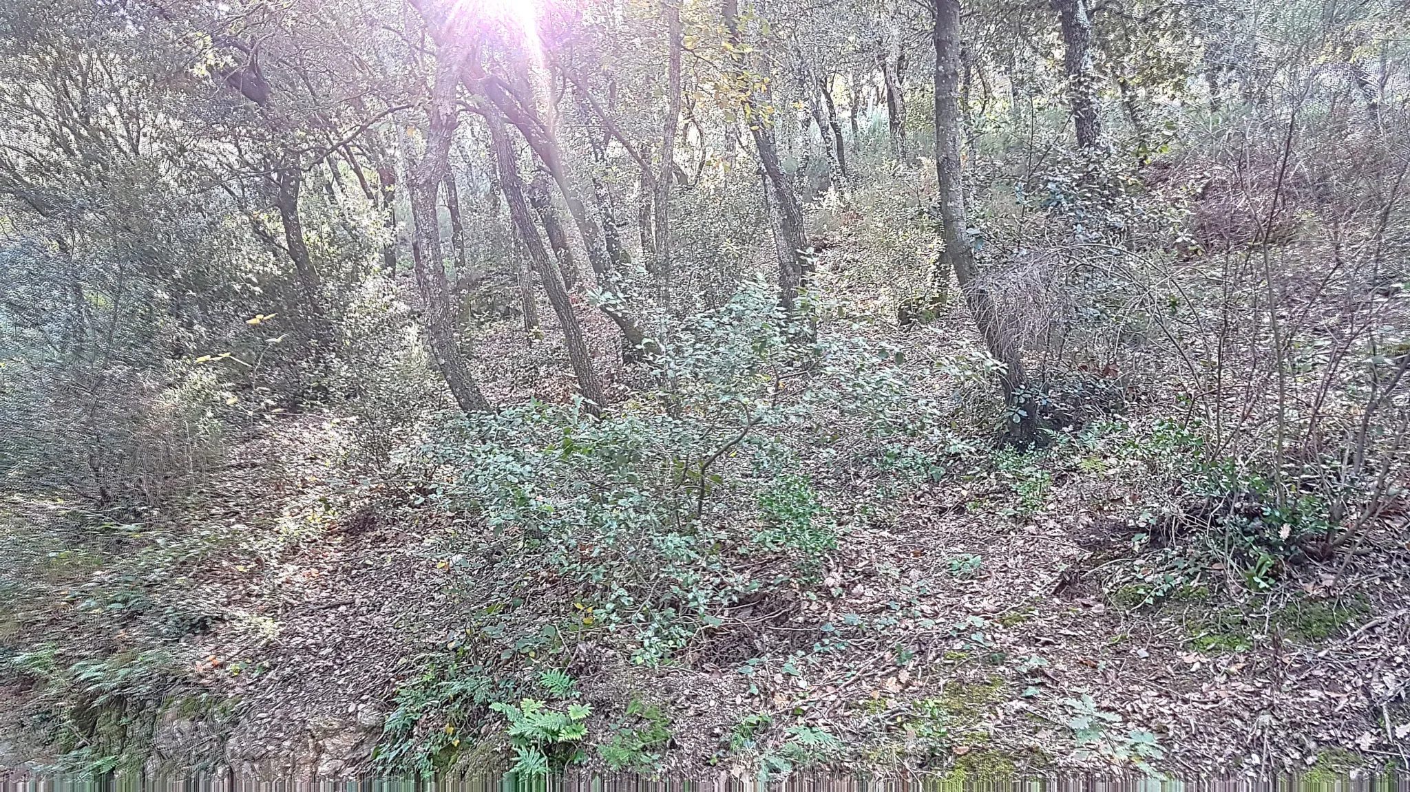 Terrain Constructible à Taillet avec Vue sur Céret 