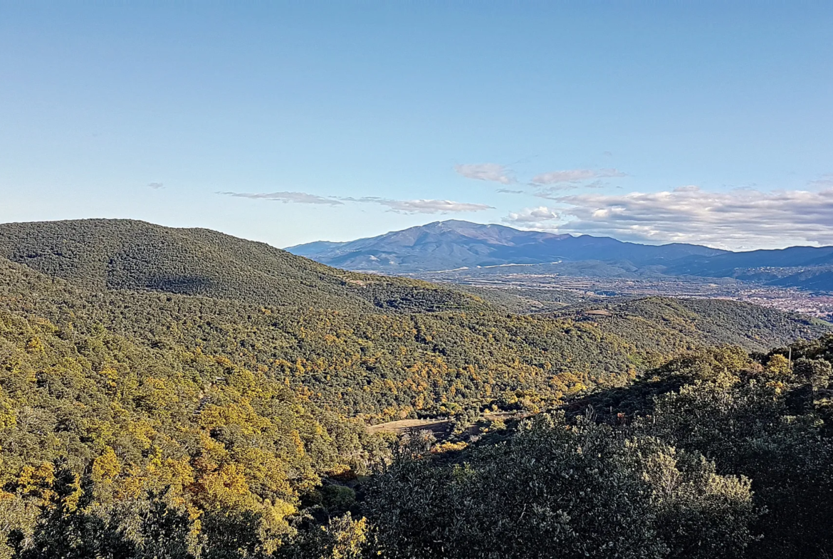 Terrain Constructible à Taillet avec Vue sur Céret 