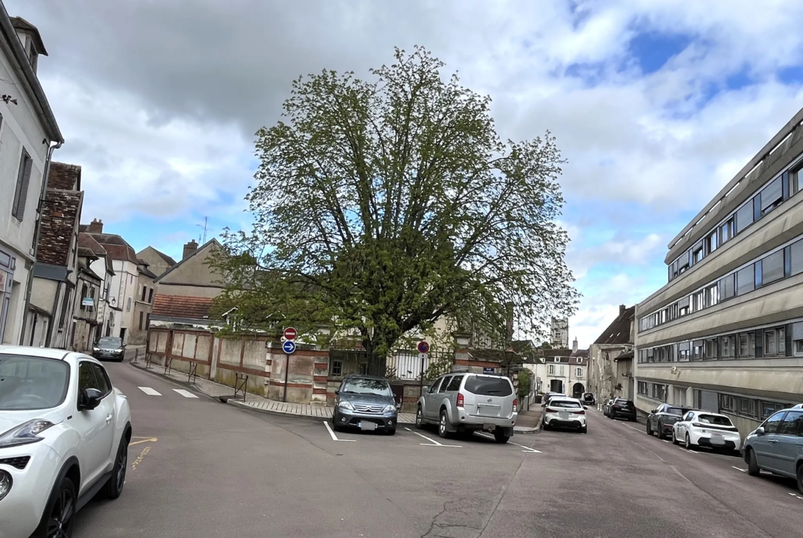 Appartement lumineux à vendre à Auxerre 