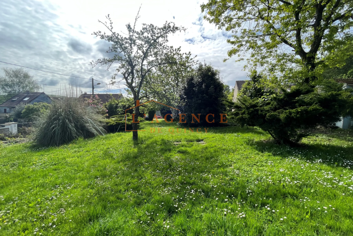 Maison Briarde avec 4 Chambres et Jardin Arboré à Villemareuil 