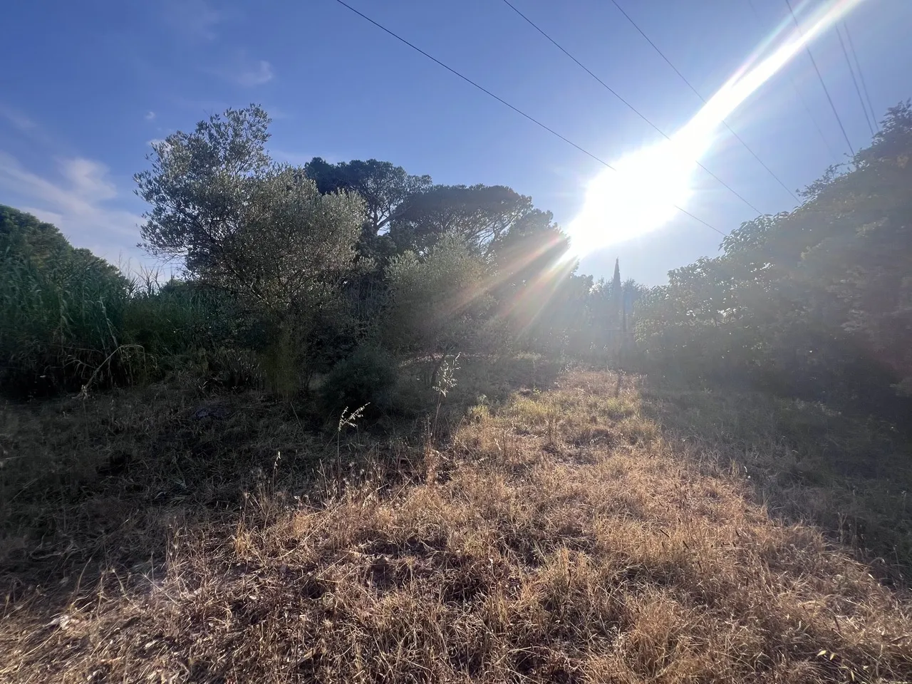 Terrain à Bâtir de 800 m2 à Puget-sur-Argens 