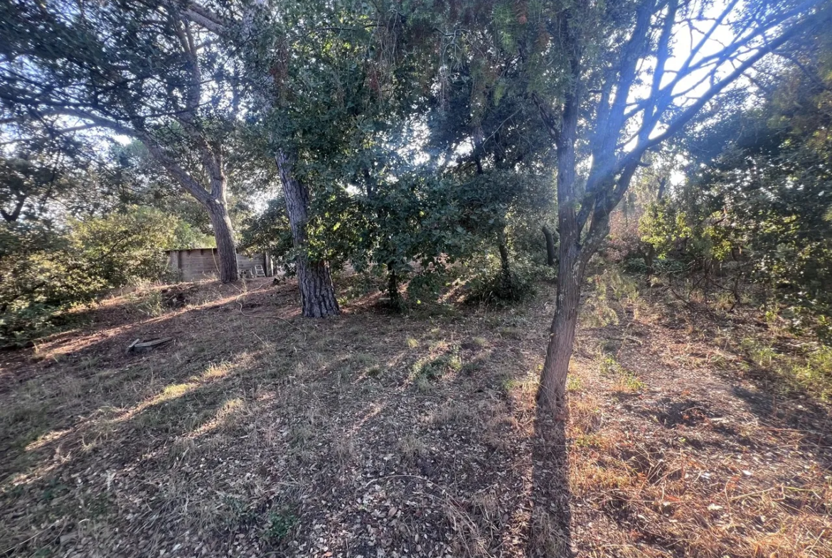 Terrain à Bâtir de 800 m2 à Puget-sur-Argens 