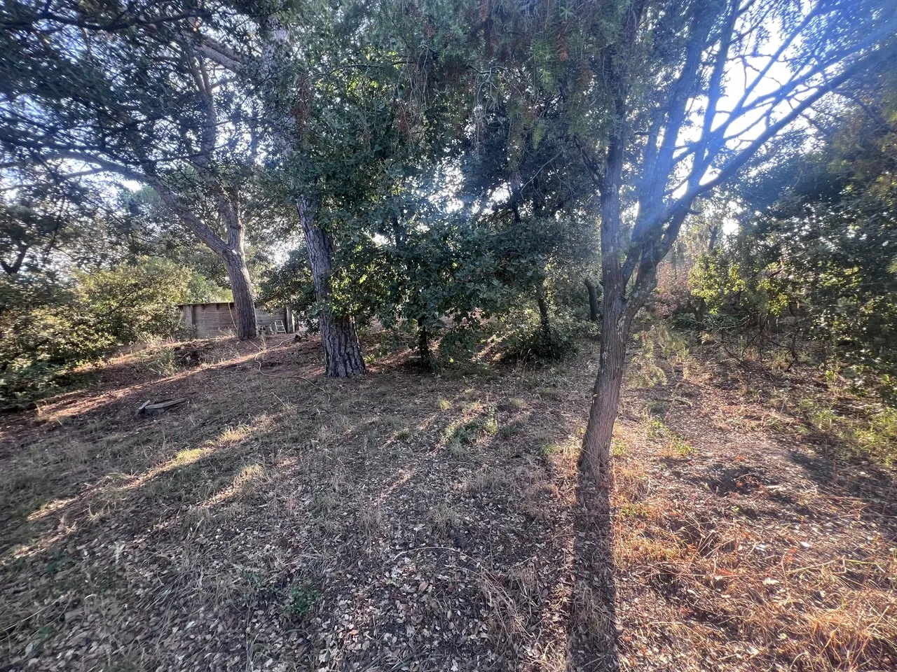 Terrain à Bâtir de 800 m2 à Puget-sur-Argens 