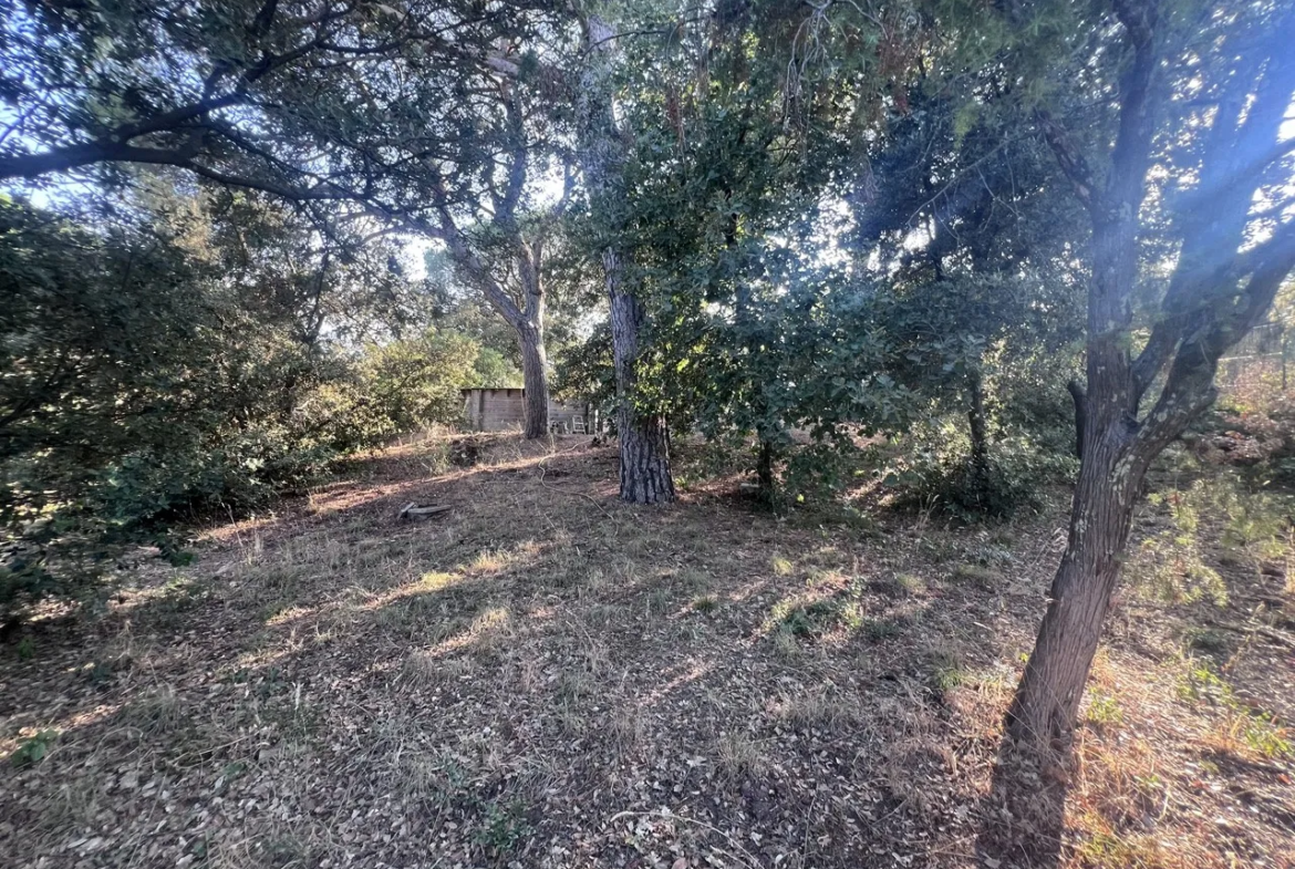 Terrain à Bâtir de 800 m2 à Puget-sur-Argens 