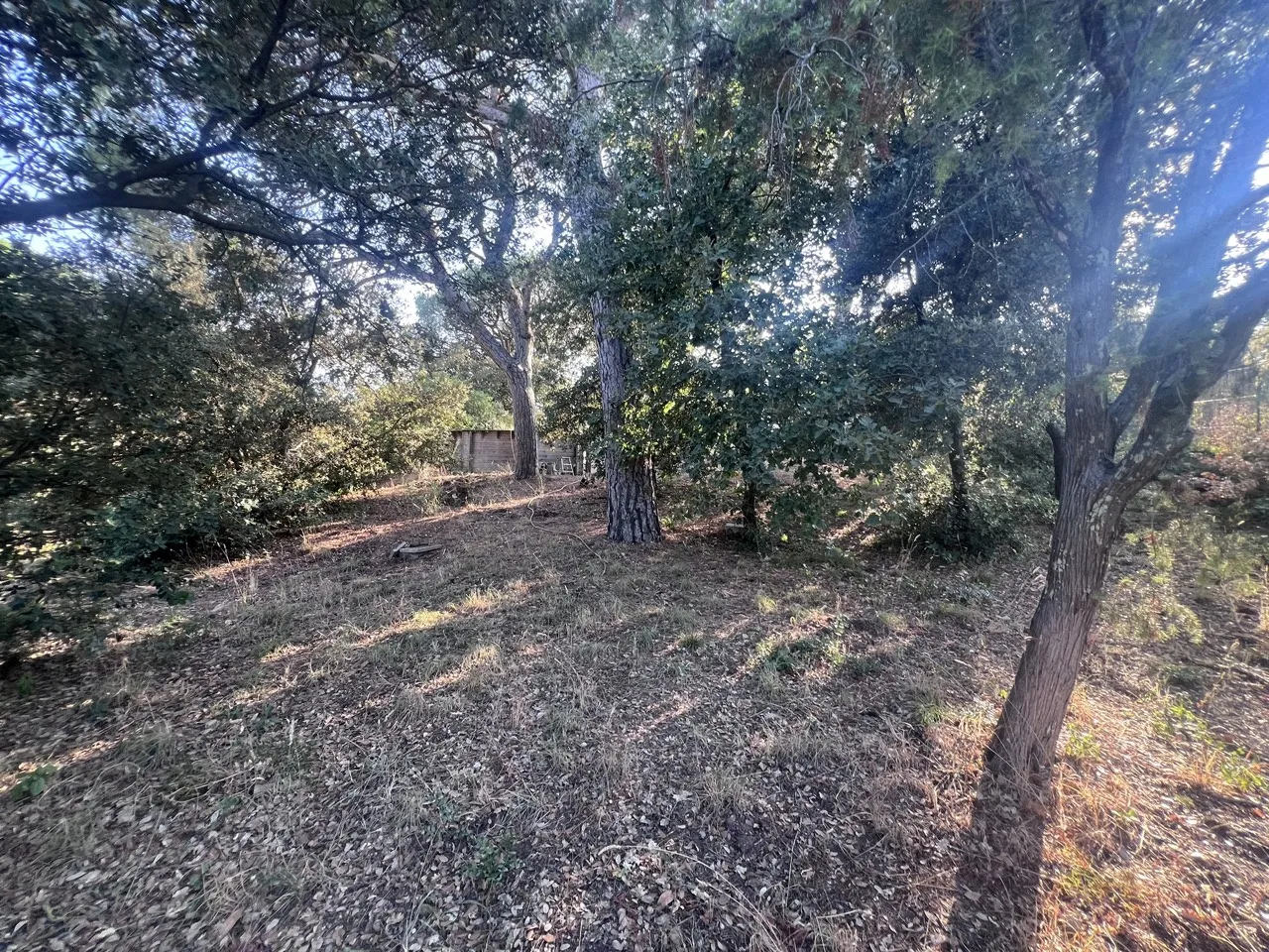 Terrain à Bâtir de 800 m2 à Puget-sur-Argens 