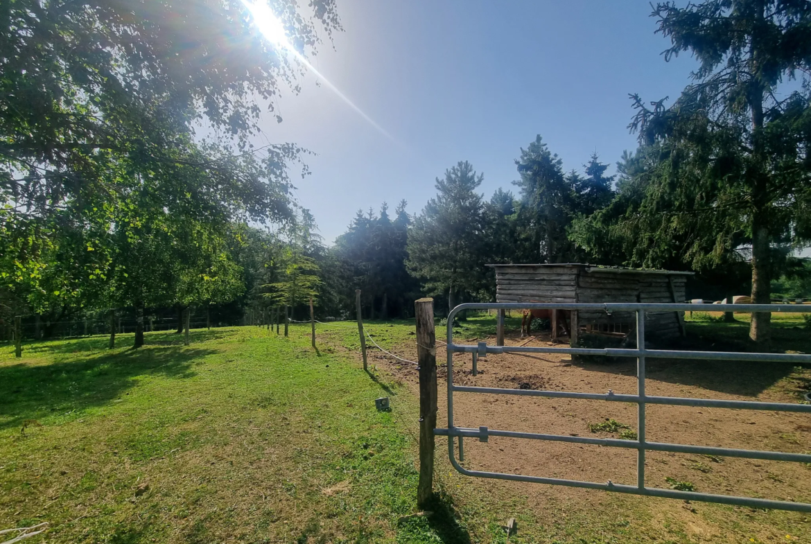 Maison de 103m2 avec 3 hectares de terrain à Mortagne-au-Perche 