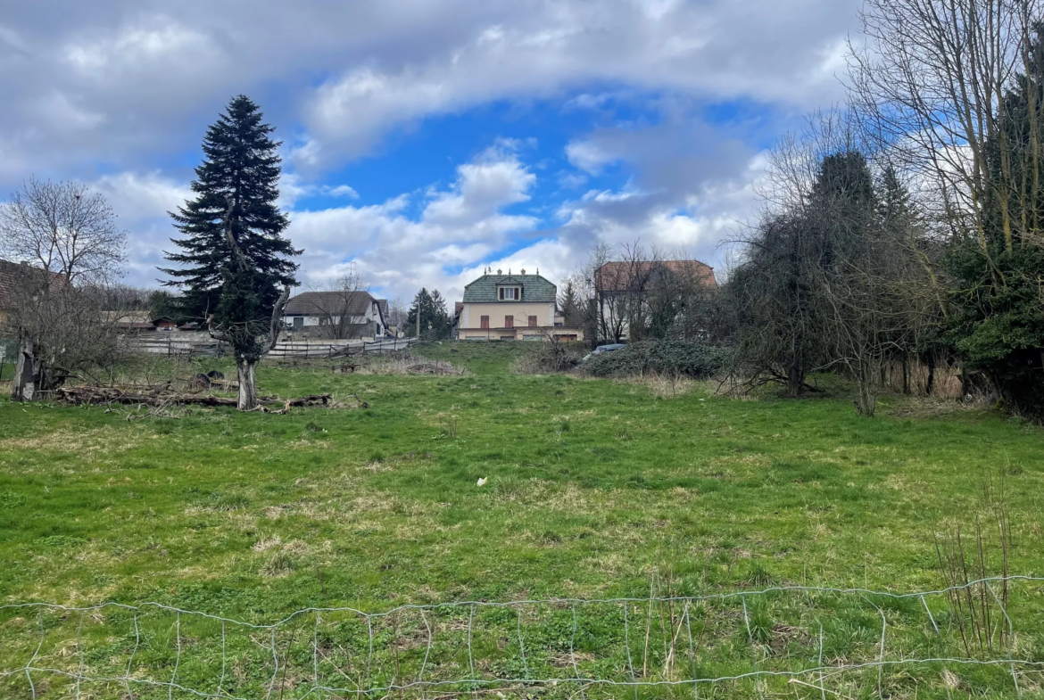 Terrain avec vue sur le Jura à Roppentzwiller 