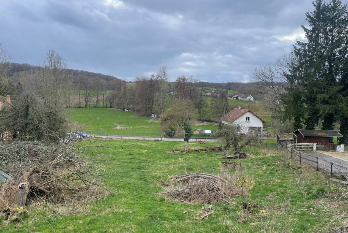 Terrain avec vue sur le Jura à Roppentzwiller 