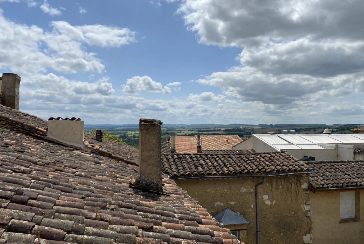 Grande maison bourgeoise avec jardin à Lectoure 