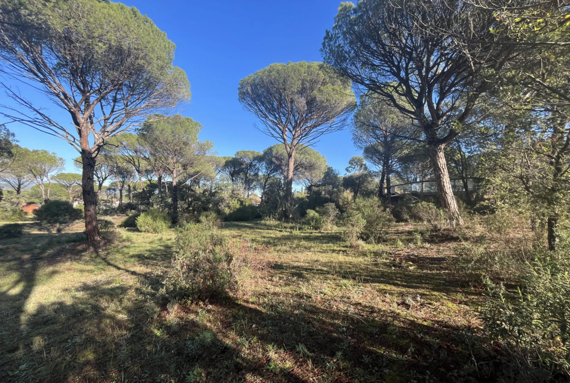 Terrain à bâtir 2000m2 - Vidauban 