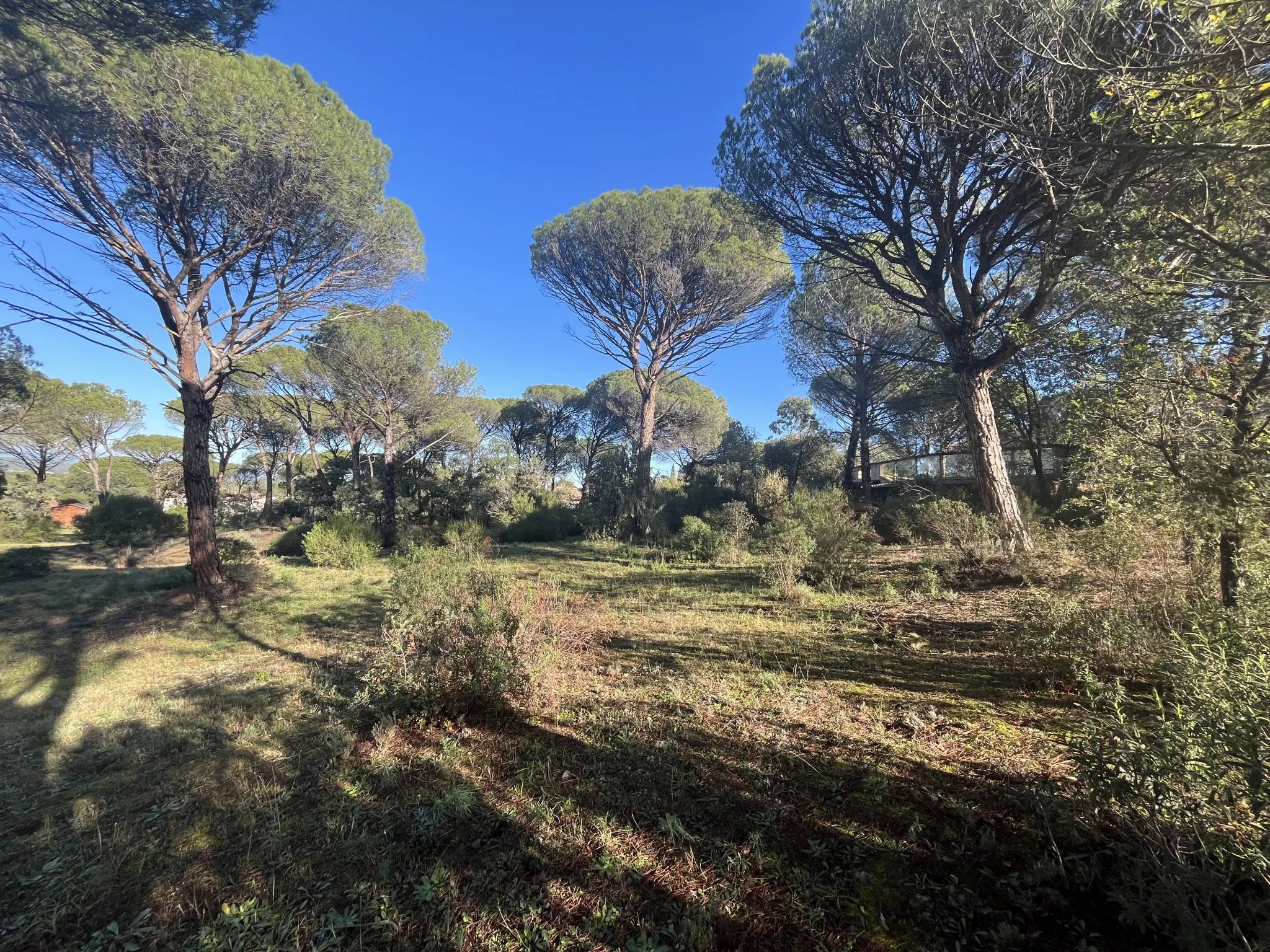 Terrain à bâtir 2000m2 - Vidauban 