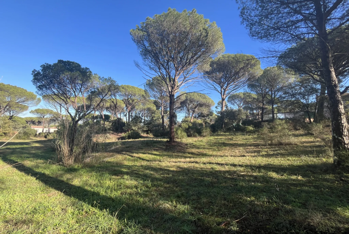 Terrain à bâtir 2000m2 - Vidauban 