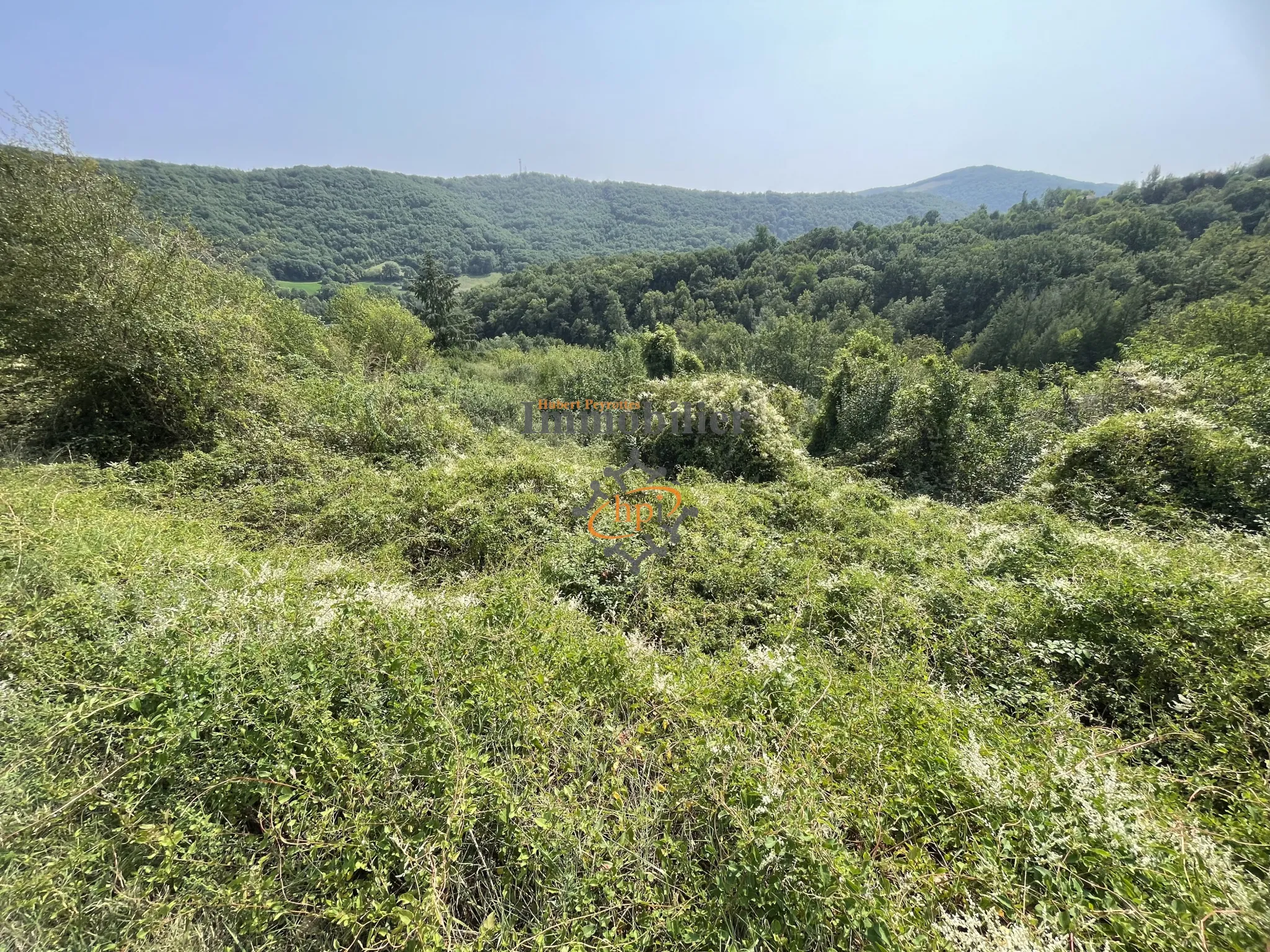 Maison en pierres à Broquiès avec terrasses et terrain 