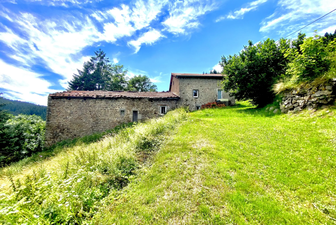 Ancienne ferme de 110 m2 avec grange et dépendance à St Sauveur en Rue 