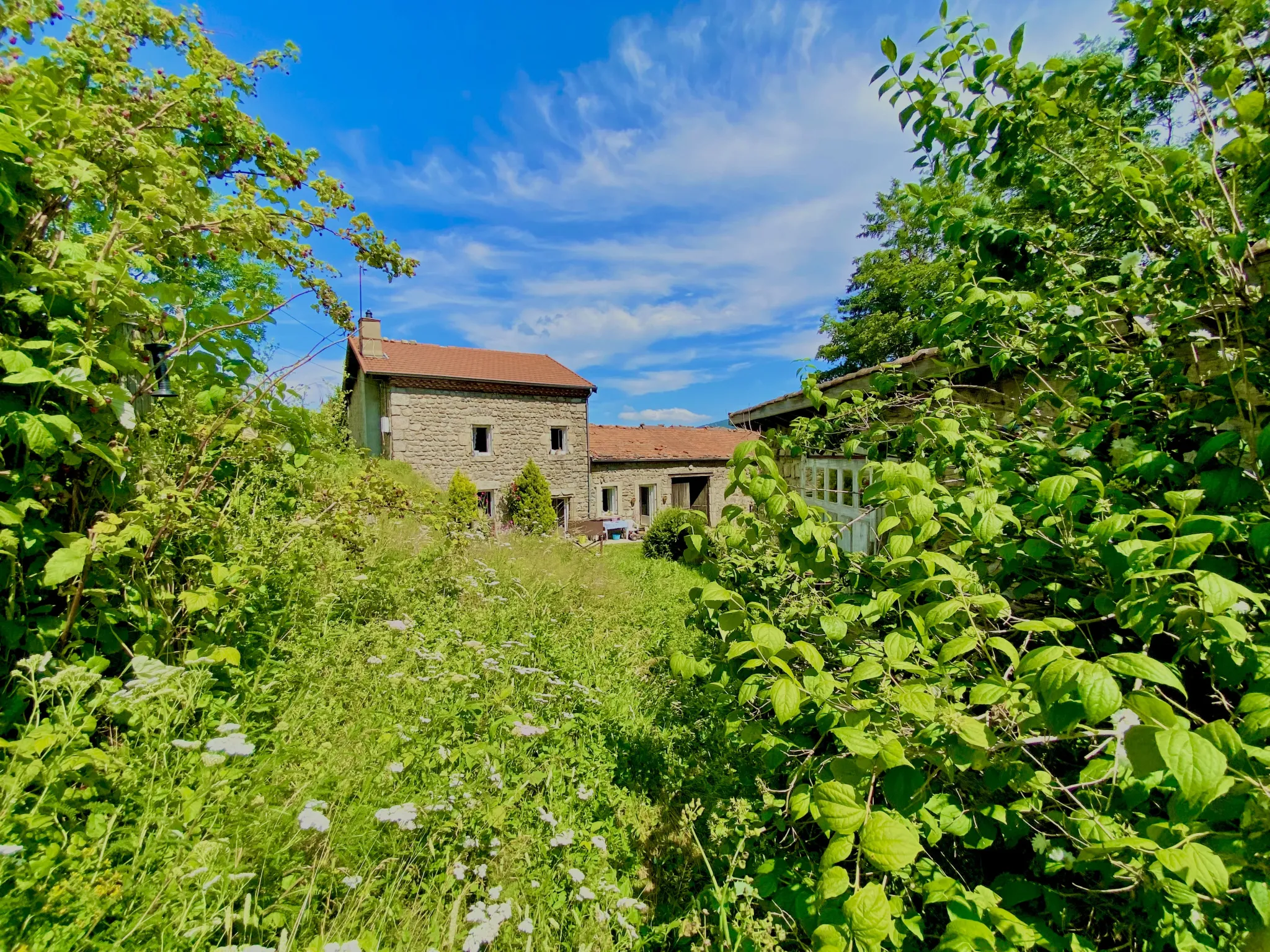 Ancienne ferme de 110 m2 avec grange et dépendance à St Sauveur en Rue 