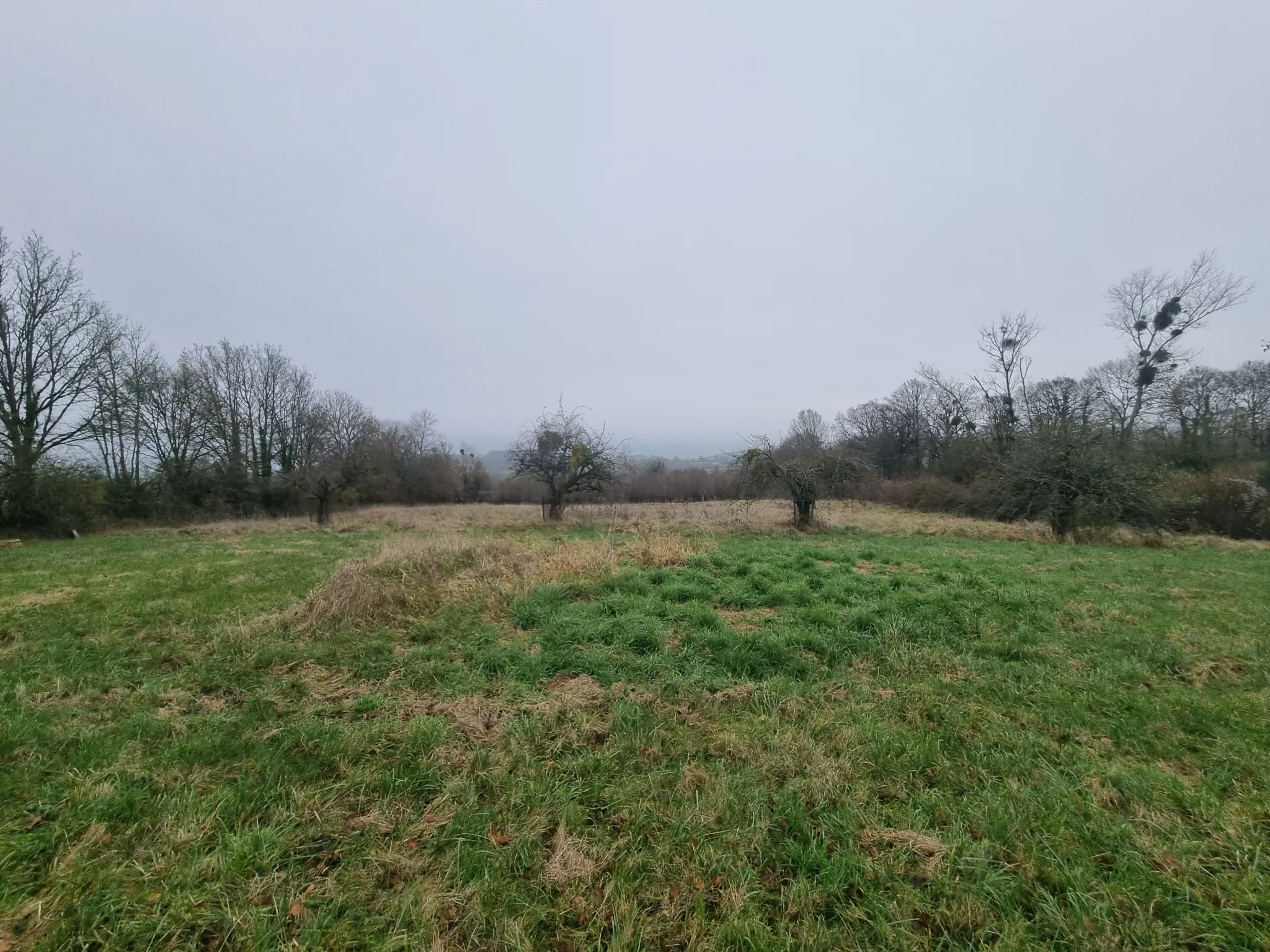 Terrain constructible de 7200m2 au Mêle sur Sarthe 