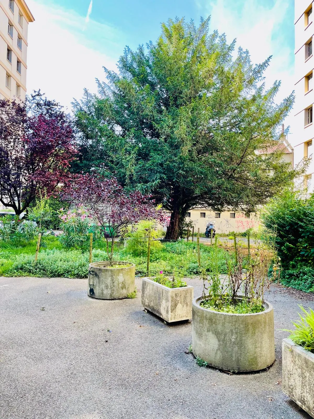 Appartement T5 85m2 rénové avec vues à Grenoble 