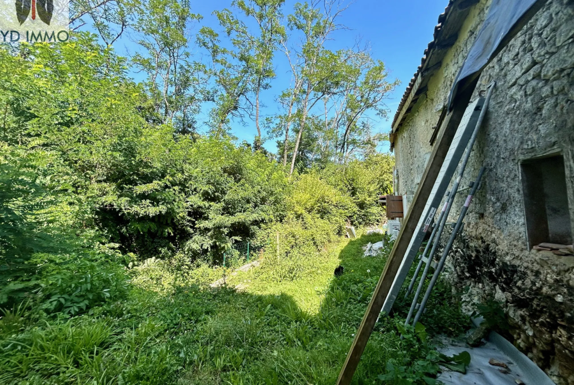 Maison en Pierre à Rénover avec Jardin à Langoiran 