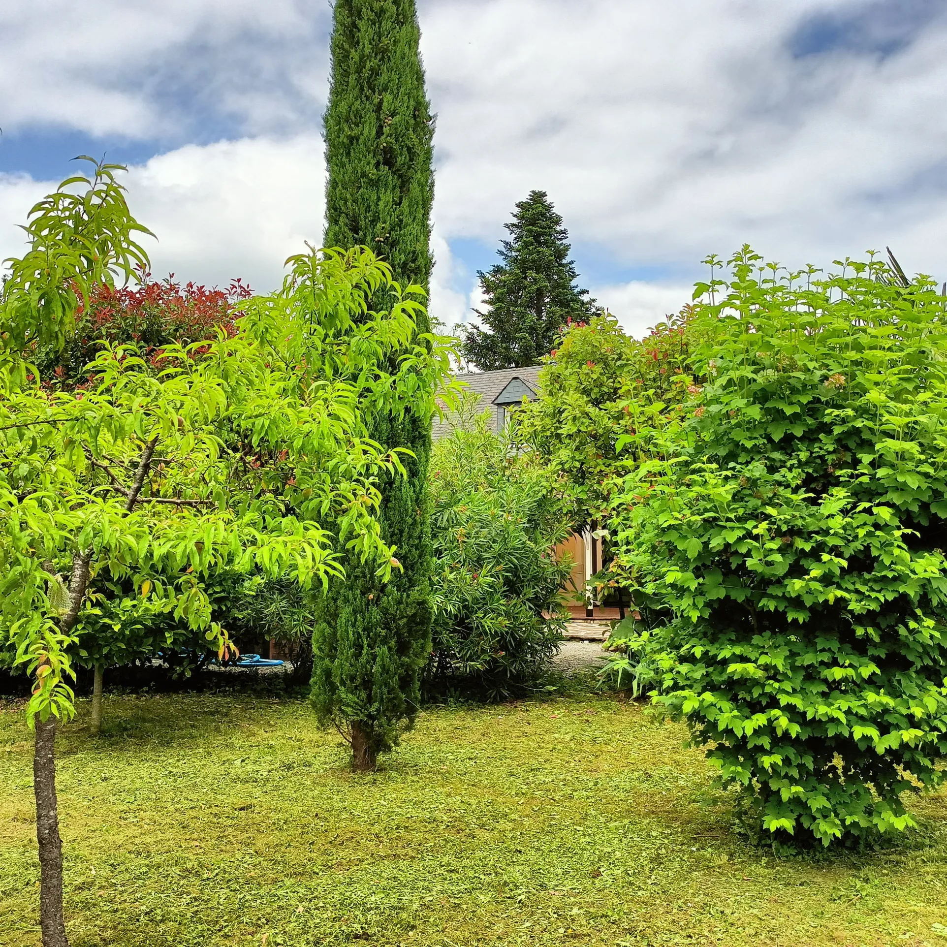 Charmante maison à Asson avec 4 chambres et piscine 