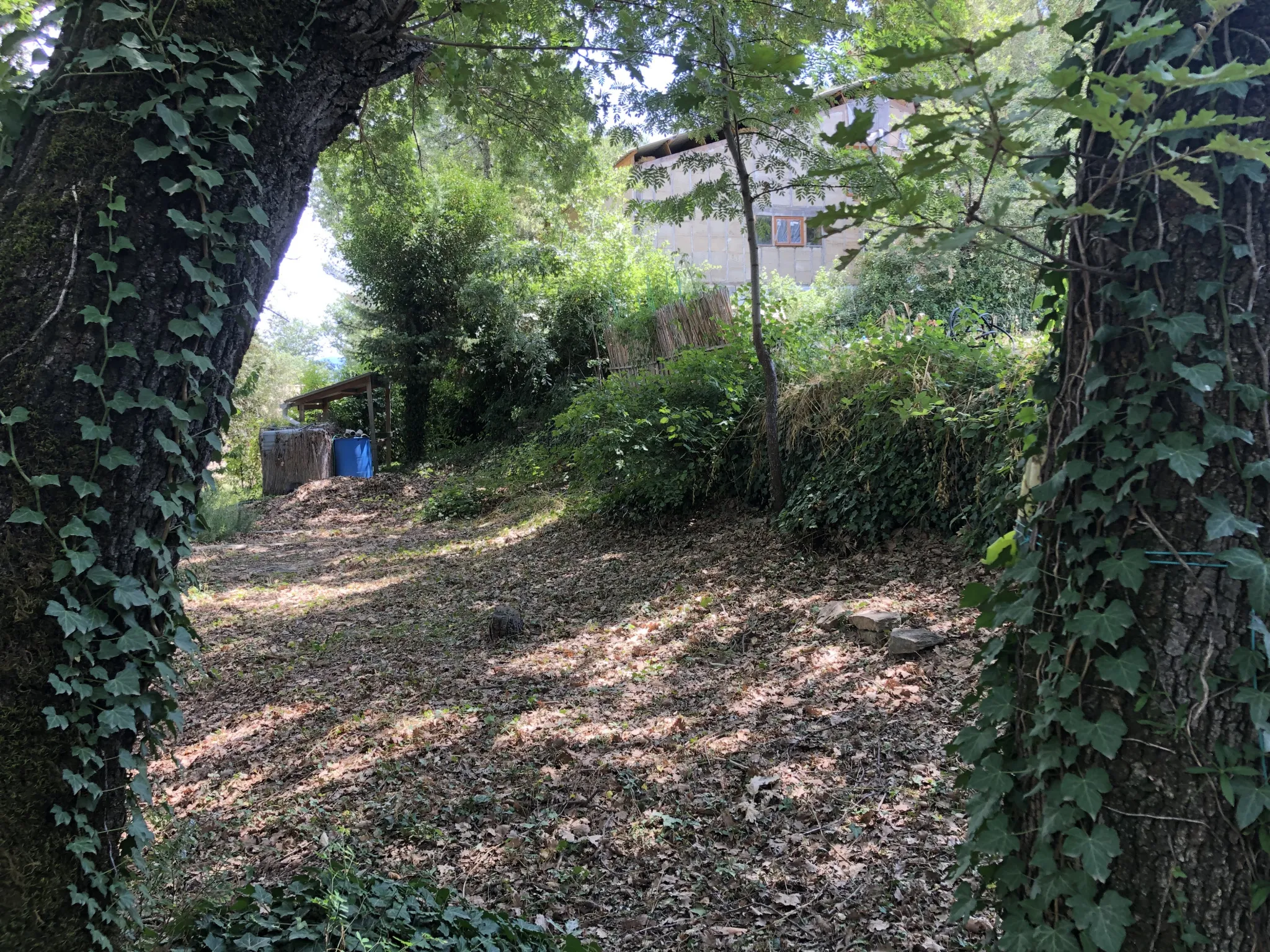 Cabanon à rénover sur terrain clos à Faucon 