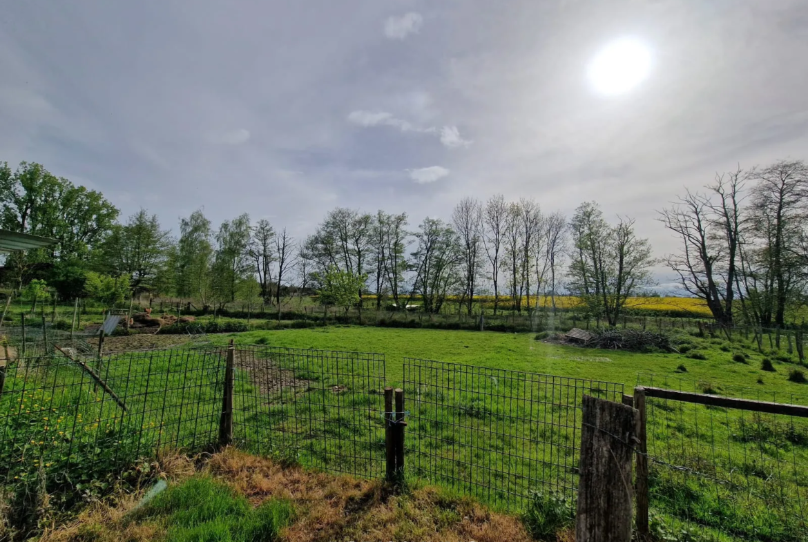 Belle Maison Individuelle avec Dépendance et Grand Terrain à Chavannes sur l etang 