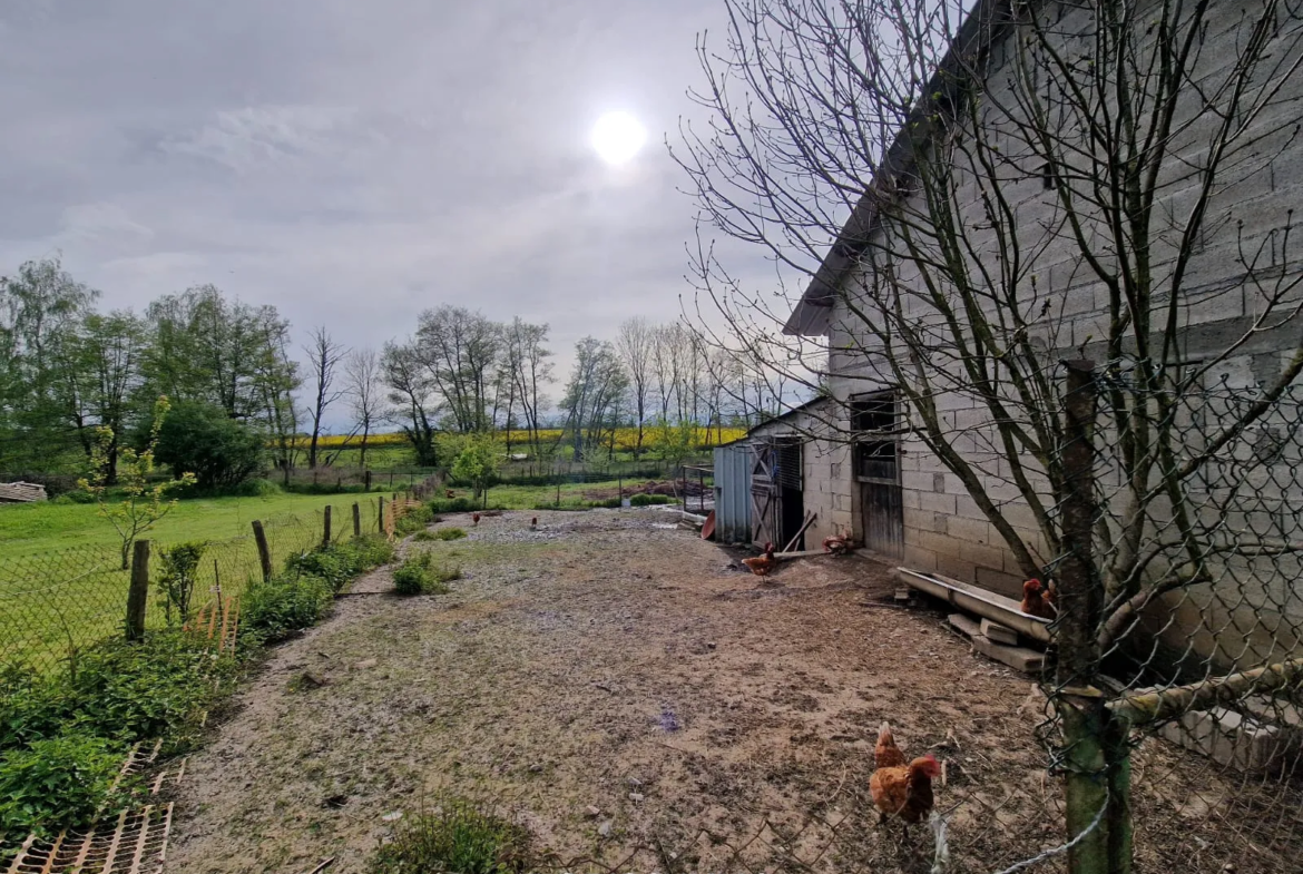 Belle Maison Individuelle avec Dépendance et Grand Terrain à Chavannes sur l etang 