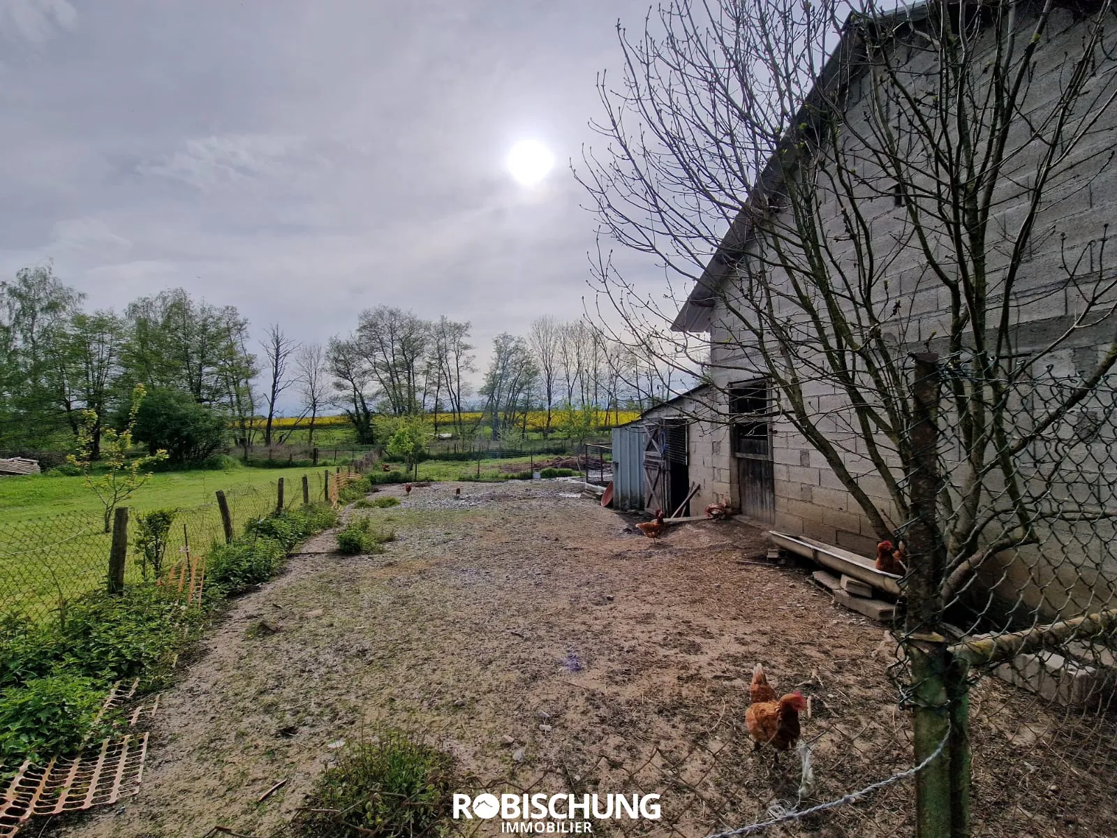 Belle Maison Individuelle avec Dépendance et Grand Terrain à Chavannes sur l etang 