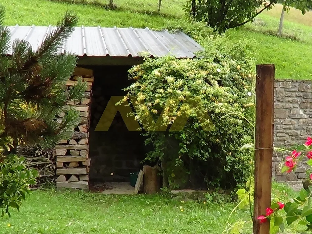 Maison souletine avec 11ha de verdure 