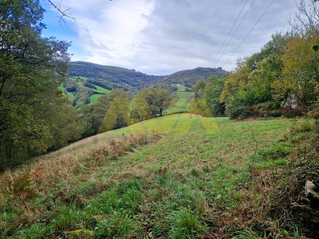 Maison souletine avec 11ha de verdure 