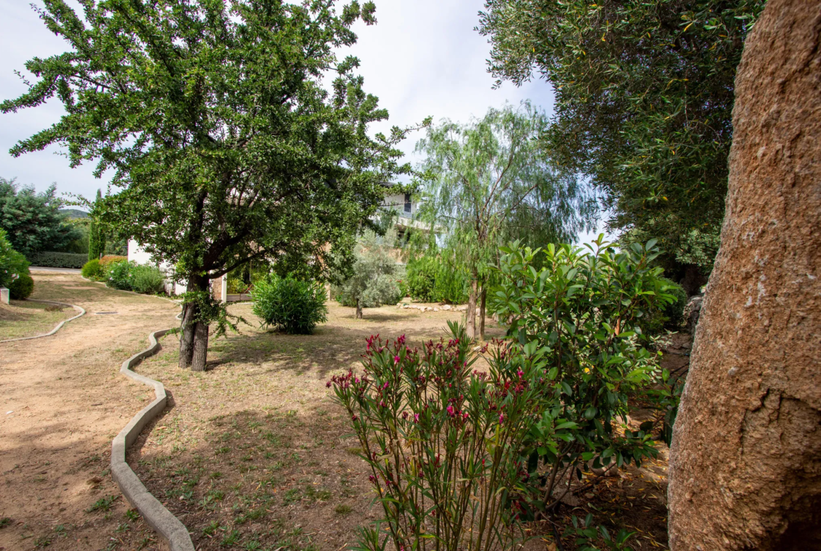 Appartement T2 avec terrasse à Ste lucie de porto vecchio 